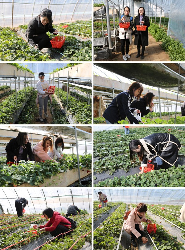 圖片關(guān)鍵詞 圖片關(guān)鍵詞